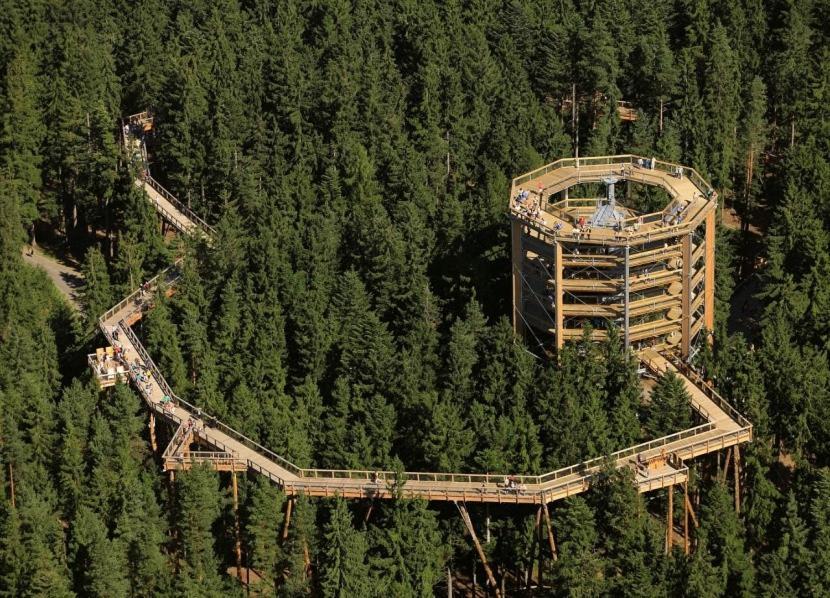 Apartman Olesnik Lägenhet Exteriör bild