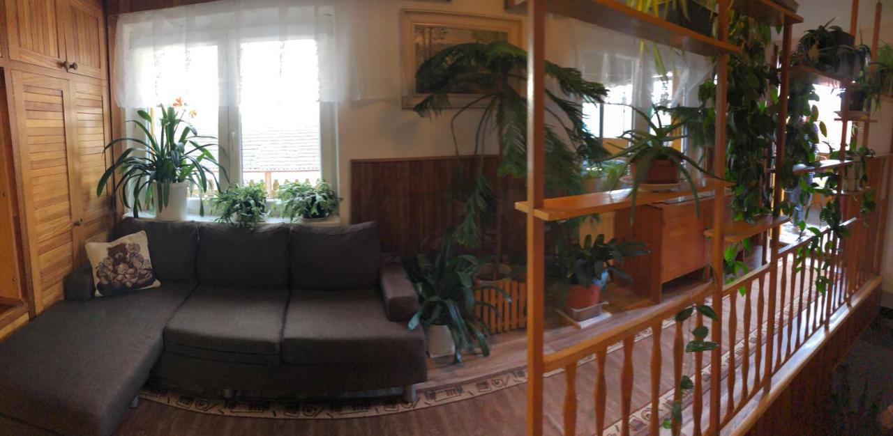 Apartman Olesnik Lägenhet Exteriör bild