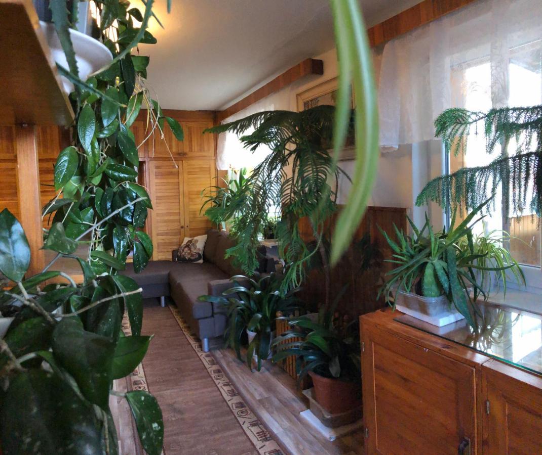 Apartman Olesnik Lägenhet Exteriör bild